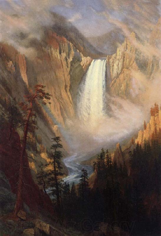 Albert Bierstadt Yellowstone Falls Germany oil painting art